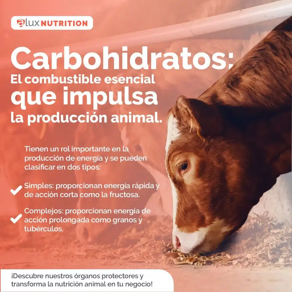 Carbohidratos en la produccion animal