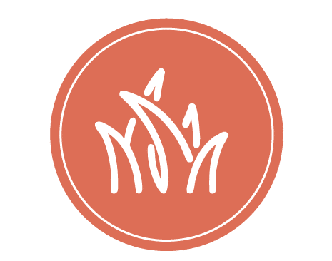 Asesoria nutricional Alux