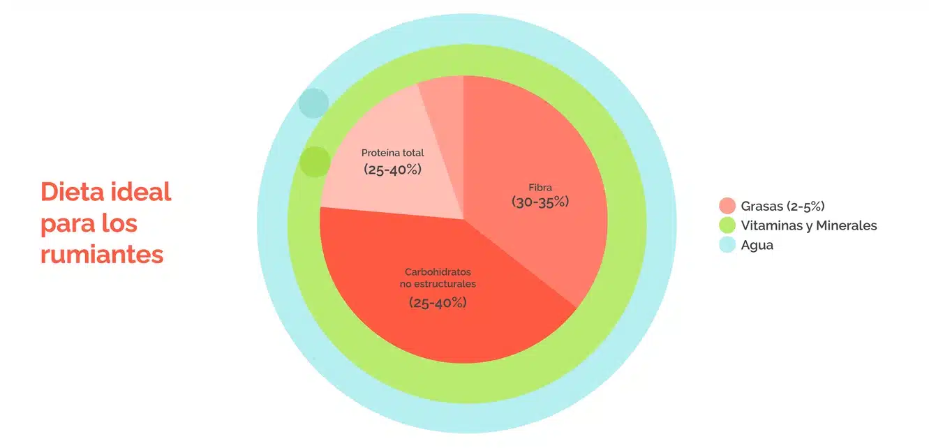 Dieta ideal para rumiantes Alux Nutrition